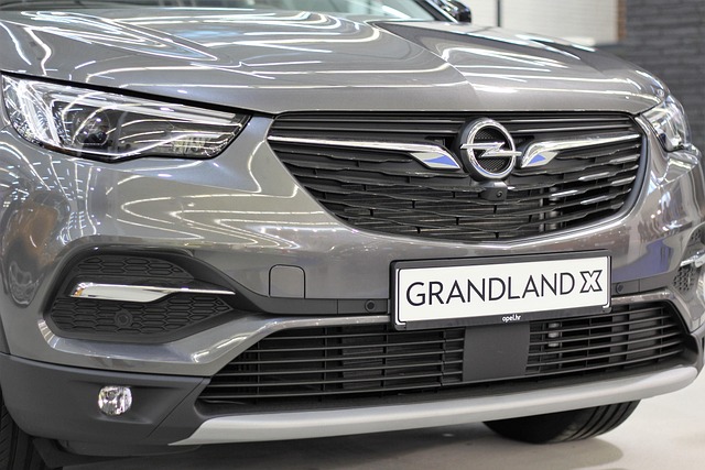 Opel Grandland X Oil Type